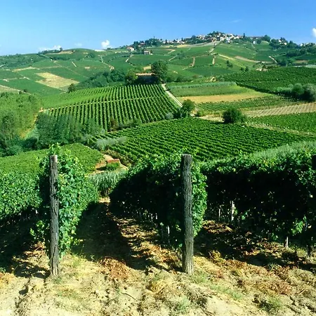 Casa Collina *